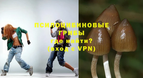 первитин Няндома