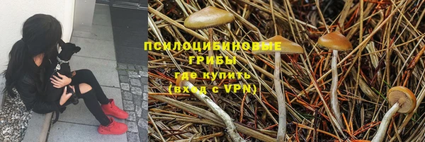 мдпв Нягань